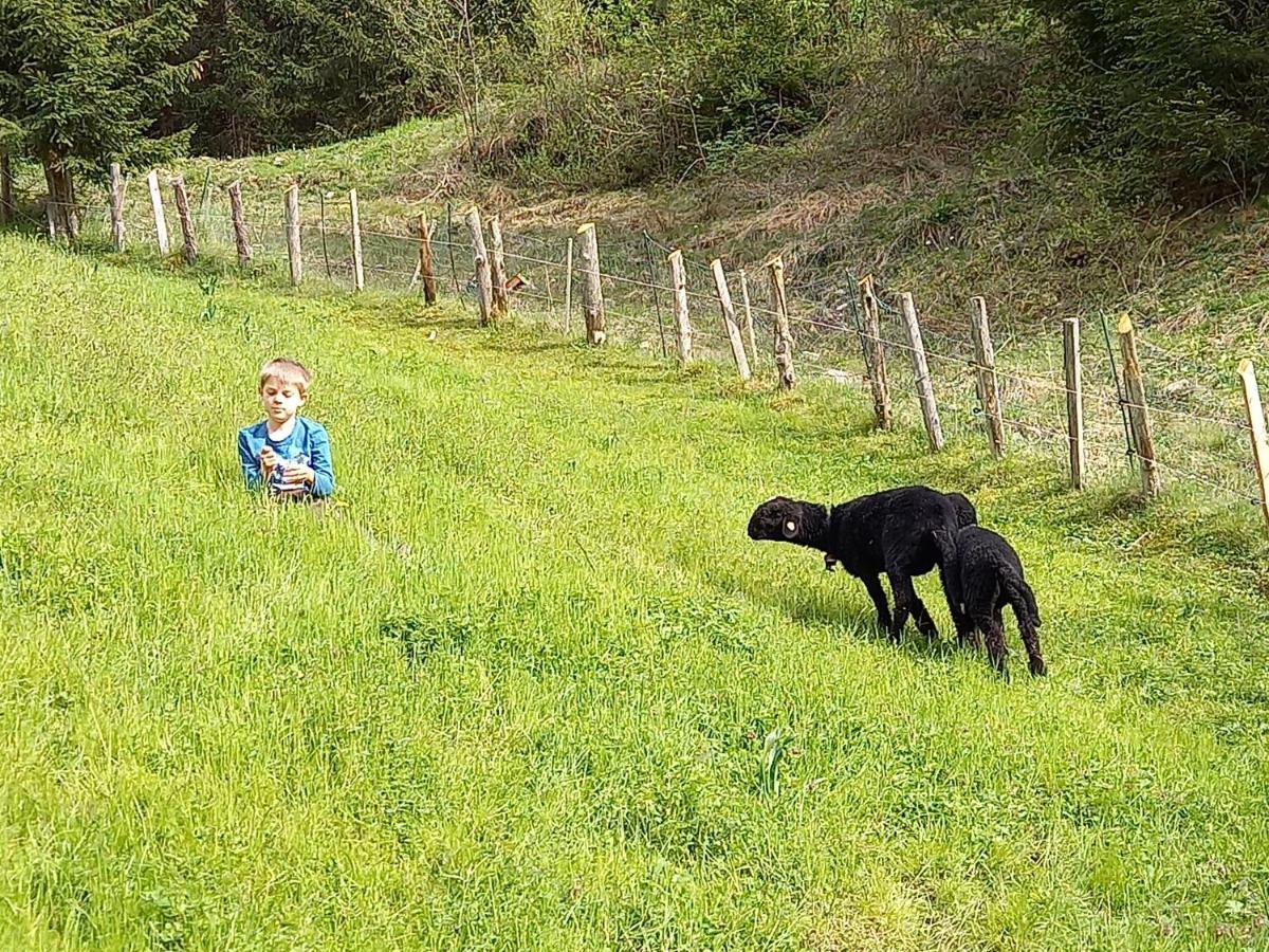 Ferienwohnungen Weberbauer Sankt Martin bei Lofer Exteriér fotografie